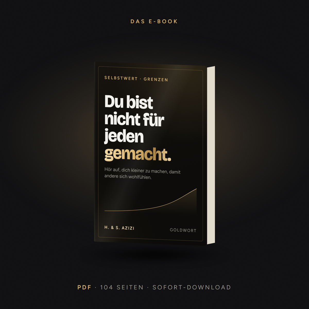 E-Book «Du bist nicht für jeden gemacht» von H. & S. Azizi – PDF, 104 Seiten