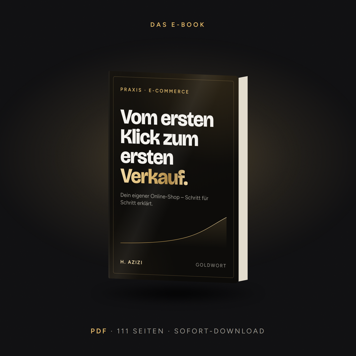 Booking Computer Pay Image Vom ersten Klick zum ersten Verkauf – E-Book | Goldwort